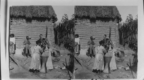 Women pounding corn for bread in the yard of a Barranquilla home. Columbia. S.A