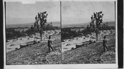 Baalbek and Plain between the Lebanons. Looking North from Town