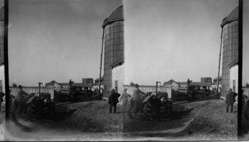 McGregor Farm at Brandon - Man filling silo with sunflowers, Canada