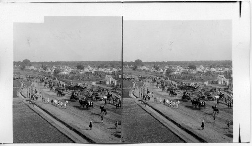 East over camp of Maharaja of Paiola. Durbar - Delhi - India