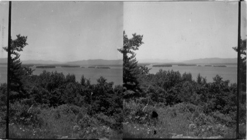 Lake Winnepesaukee from Locke's Hill