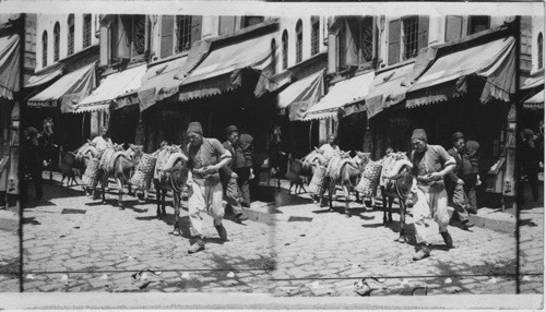 A Turkish Pack Train. Constantinople Turkey