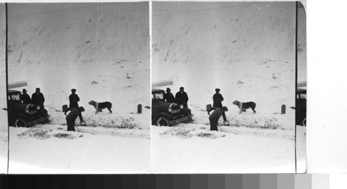 The simplon pass (NOv. 3, 1930). Switzerland -Italy. Incident on a nov. morning