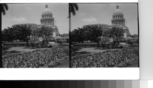 Cuba - Province of Havana - Havana: the Cuban Capitol in the capitol city of the Island seen across the gardens of Plaza Fraternidad. The bust in the foreground is that of Benito Juarez, the Mexican hero and patriot who is called the Lincoln of Mexico