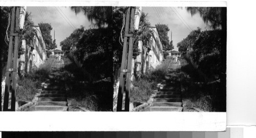 Island of St. Thomas, Charlotte Amalie: This city is built on the steep hills which surround the harbor and the need for short cuts from one level to another brought into being "staircase streets" to save pedestrians from long winding climbs. This is the longest staircase and the city's most famous