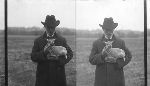 The Sheep Master Holding a Lamb. Virginia