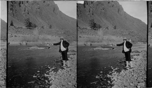 Pres. Roosevelt fishing in Montana, on his trip. This is not President Roosevelt but a member of his party