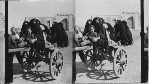 The flat Cart and Arab lady riders, Cairo, Egypt