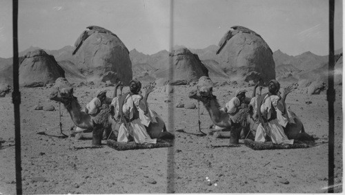 Bedouin at Prayer before Sunset in the Arabian Desert Palestine-