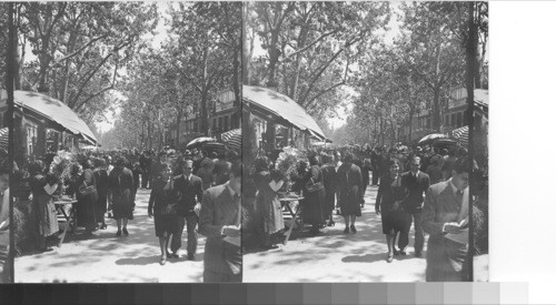 The Ramblas and its busy flower market. Barcelona, Spain. (Columbus Monument in Distance). #8 Dec '31 Service