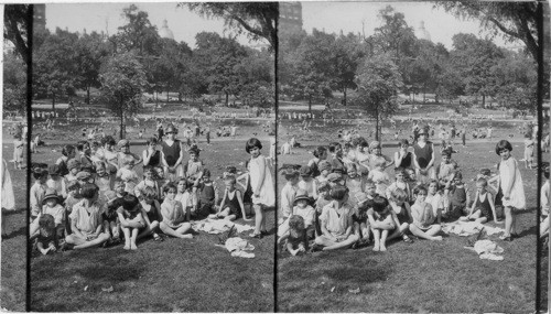 Under the Elms, Boston Common