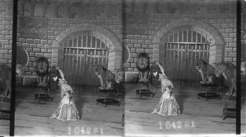 Ferrar's Wild and Trained Animals. Jamestown Exposition. Virginia