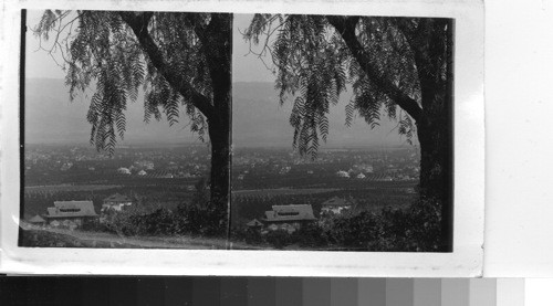 Redlands from Smiley Heights, Calif. Pepper tree