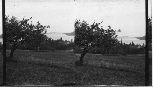 North over Westfield to St. John River from side of hill. N.B