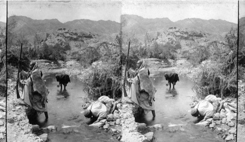 A spring in Wady Feiran, Sinai Wilderness, Egypt