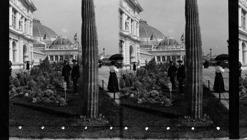 The Great Cactus, Horticultural Building, World's Fair Chicago