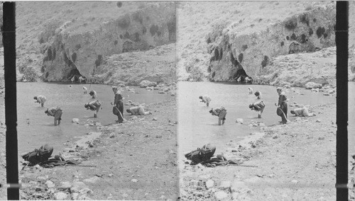 Gideons Spring. Mt. Gilboa. Palestine