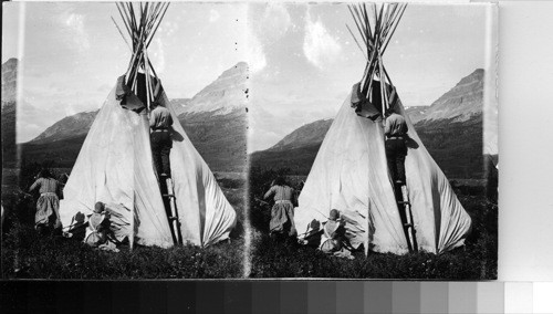 Completing the erection of a Teepee. Glacier National Park, Montana