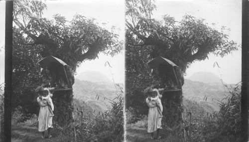 A Wayside Shrine, Road to St. Pierre. Martinique. F.W.I