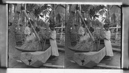 Natives Pounding Out Rice, P.I. Obsolete Or Otherwise Not Very Usable E E Baker 1929