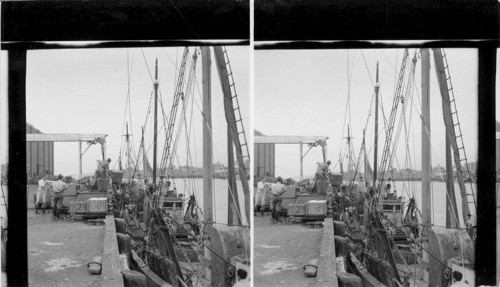 Unloading fishing Boats - Gloucester, Mass