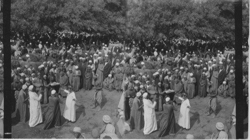 Ali Kaka dancers at Arab market. Zakazik. Egypt