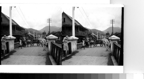 British West Indies - Island of Dominica - Roseau: Bullock-drawn cart on the bridge at the edge of the city