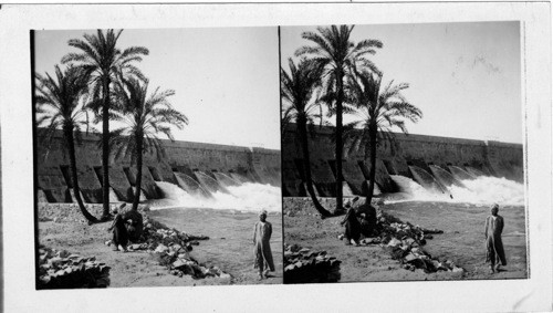 The Sluices of the Assouan Dam Looking S. N. From the East Bank