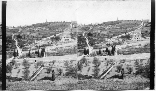 Garden of Gethsemane, and Mount of Olives - from Eastern Wall - Jerusalem. Palestine