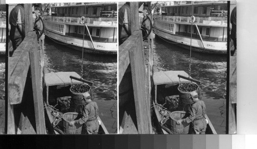 Unloading lobster boat, Portland, ME