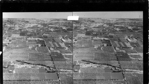 Apple Orchards in Western Washington. Wheeler Pub. Co