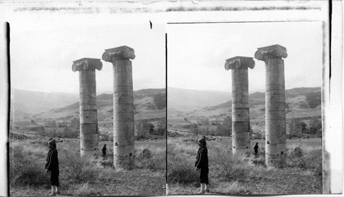 Ionic column’s of Cybele’s temple at Sardis in old Lydia. Bibical Asia Minor