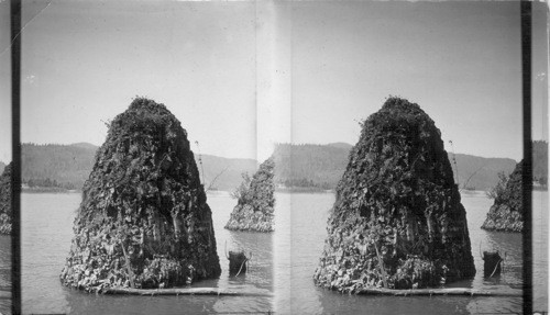 Hay Stack Rocks, Mounds in Columbia River, near Portland, Ore