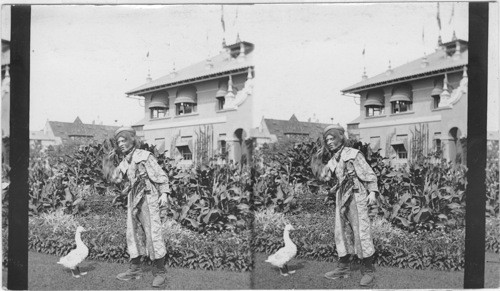 Phoebe and his goose, Pan-American Exposition