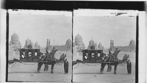 A “ship of the desert” passing tombs of by-gone Moslem rulers outside East wall of Cairo. Egypt