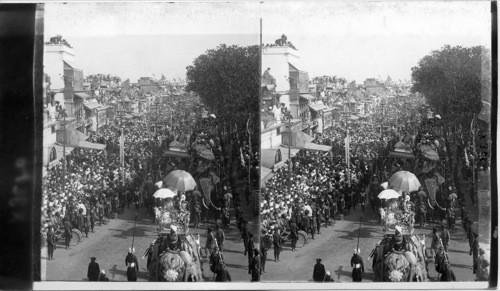 Their Royal Highnesses, Duke and Duchess of Connaught, and Indian Princes, India