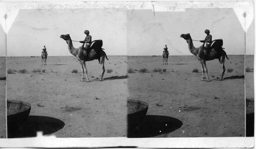 On way to shooting camp at Guzner, a typical bit of the Bikanir desert. India