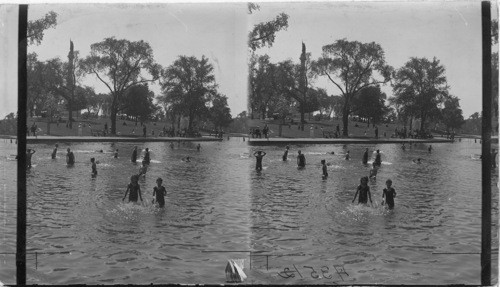 Frog Pond, Boston Common, Mass