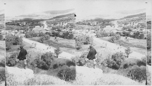 The road from Nablua (Shechem) to Samaria. Palestine