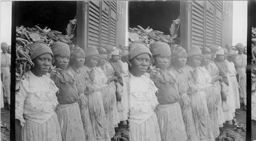 Sugarcane Field Hands, Jamaica