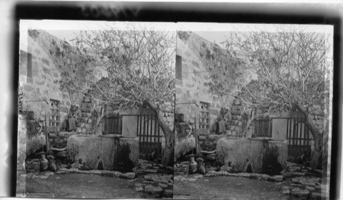 House of Simon the Tanner. Jaffa. Palestine