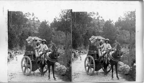 A Hill Country “Ekka” With passengers and baggage coming from Cashmere to Murree, 155 Miles, Inda