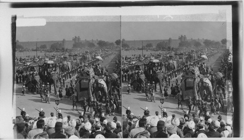 Rehearsal of Durbar (elephant procession) Delhi. India