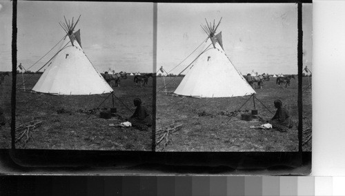 Squaws Baking Dog and Preparing Feast for the Grass Dance. Fort Belknap Reservation, Mont., July 1906