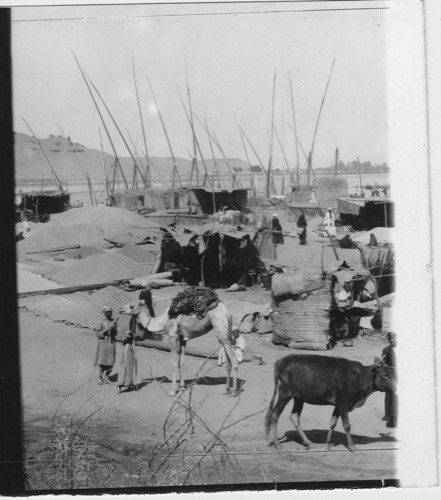 A grain market along the Nile Egypt