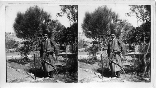 A Carass or Body Guard in national Costume Palestine