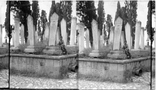 Turkish Cemetery Constantinople