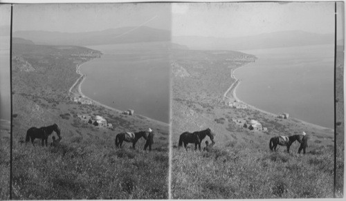 The Storied Sea of Galilee and its Wall of Stills; N. over Tiberias on West bank. Palestine