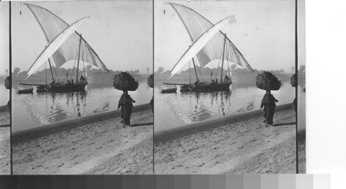 A felucca on the Nile River, Egypt. thow-? Felucca -? Nuggar-? A dahabeah with sails set to get every breath of the slight morning wind working up the Nile, Luxor, Egypt