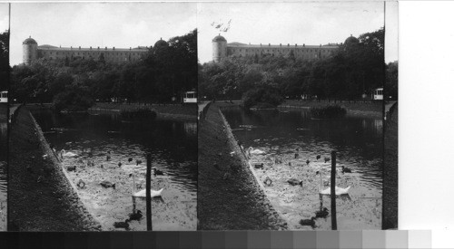 Slott and swans, Upsala [Uppsala], Sweden